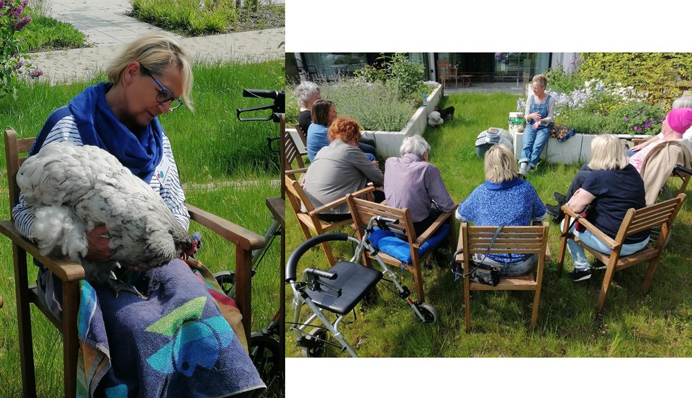 hennen der farmfreun.de im hospiz velbert